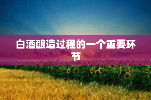 白酒酿造过程的一个重要环节