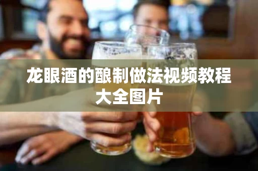 龙眼酒的酿制做法视频教程大全图片