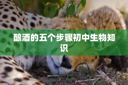 酿酒的五个步骤初中生物知识