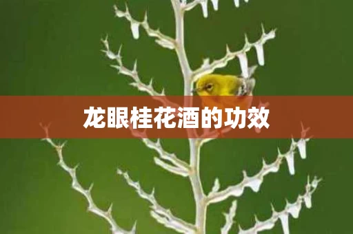 龙眼桂花酒的功效 龙眼桂花酒的功效