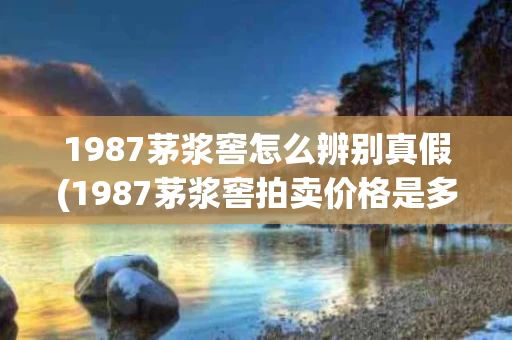 1987茅浆窖怎么辨别真假(1987茅浆窖拍卖价格是多少)