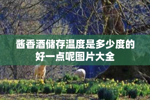 酱香酒储存温度是多少度的好一点呢图片大全