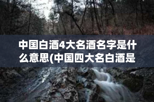 中国白酒4大名酒名字是什么意思(中国四大名白酒是哪四种)