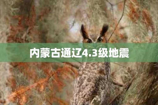 内蒙古通辽4.3级地震