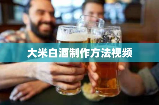 大米白酒制作方法视频