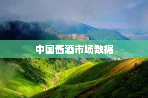 中国酱酒市场数据