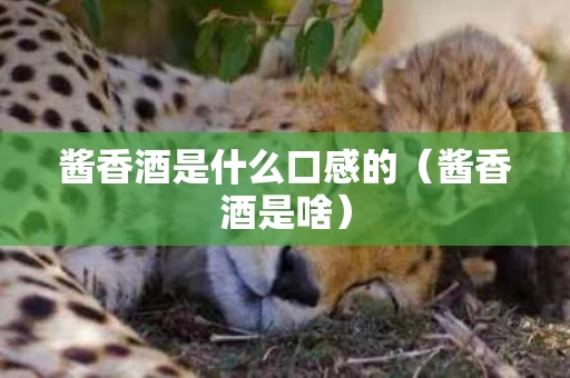 酱香酒是什么口感的（酱香酒是啥）