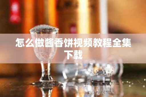 怎么做酱香饼视频教程全集下载