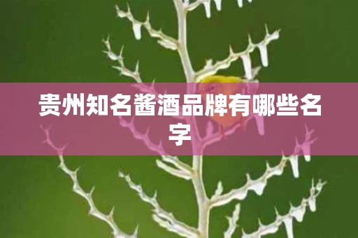 贵州知名酱酒品牌有哪些名字 贵州知名酱酒品牌有哪些名字