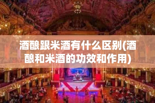 酒酿跟米酒有什么区别(酒酿和米酒的功效和作用)