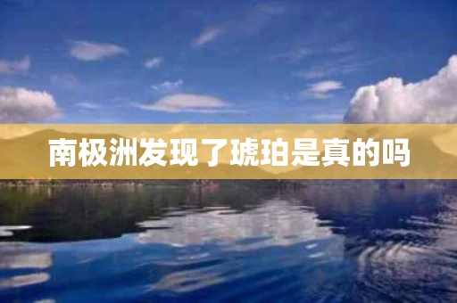 南极洲发现了琥珀是真的吗
