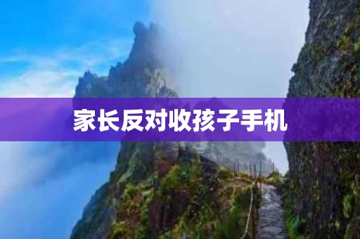 家长反对收孩子手机