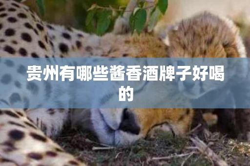 贵州有哪些酱香酒牌子好喝的
