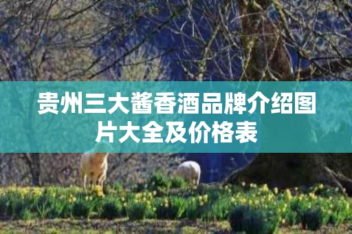 贵州三大酱香酒品牌介绍图片大全及价格表