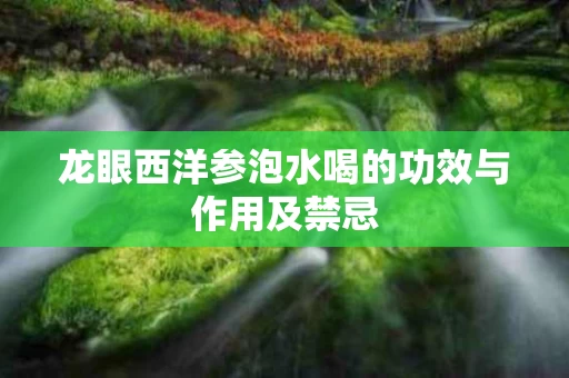 龙眼西洋参泡水喝的功效与作用及禁忌 龙眼西洋参泡水喝的功效与作用及禁忌