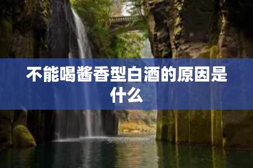 不能喝酱香型白酒的原因是什么