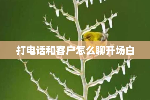 打电话和客户怎么聊开场白