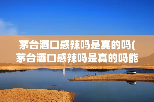 茅台酒口感辣吗是真的吗(茅台酒口感辣吗是真的吗能喝吗)