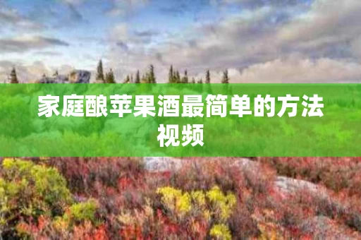 家庭酿苹果酒最简单的方法视频