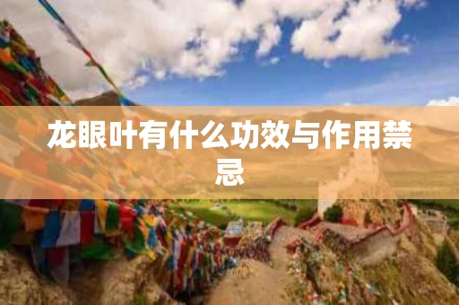 龙眼叶有什么功效与作用禁忌 龙眼叶有什么功效与作用禁忌