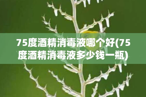 75度酒精消毒液哪个好(75度酒精消毒液多少钱一瓶)
