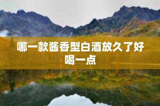 哪一款酱香型白酒放久了好喝一点