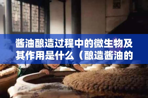酱油酿造过程中的微生物及其作用是什么（酿造酱油的微生物有哪些）