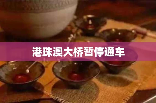 港珠澳大桥暂停通车