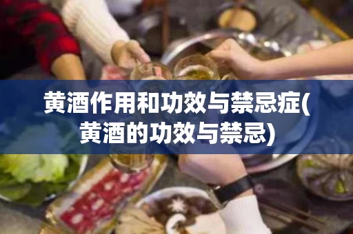 黄酒作用和功效与禁忌症(黄酒的功效与禁忌)
