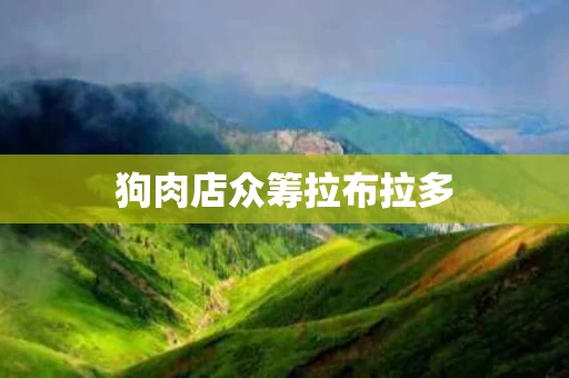 狗肉店众筹拉布拉多