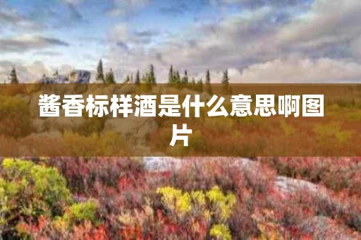 酱香标样酒是什么意思啊图片
