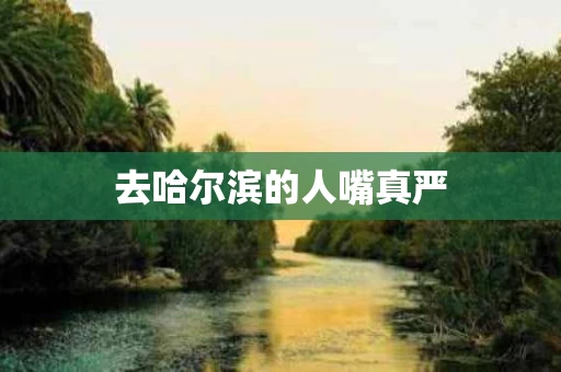 去哈尔滨的人嘴真严