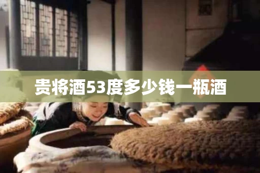 贵将酒53度多少钱一瓶酒