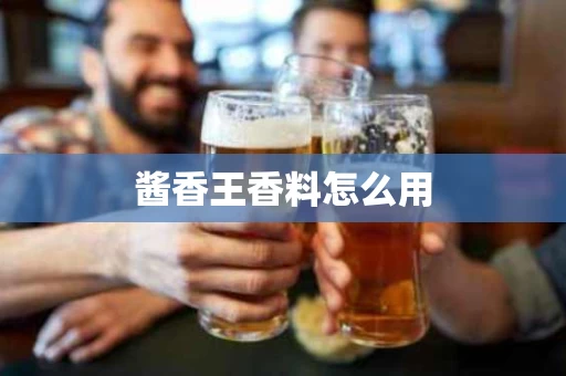 酱香王香料怎么用