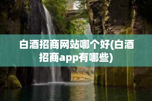 白酒招商网站哪个好(白酒招商app有哪些)
