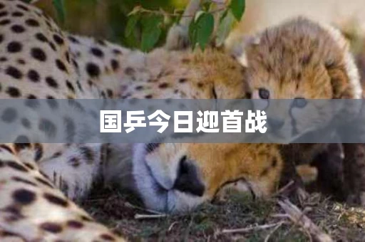 国乒今日迎首战