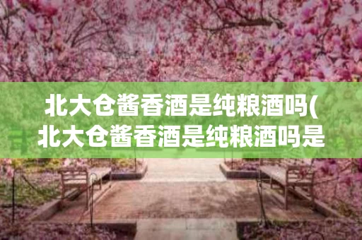 北大仓酱香酒是纯粮酒吗(北大仓酱香酒是纯粮酒吗是真的吗)
