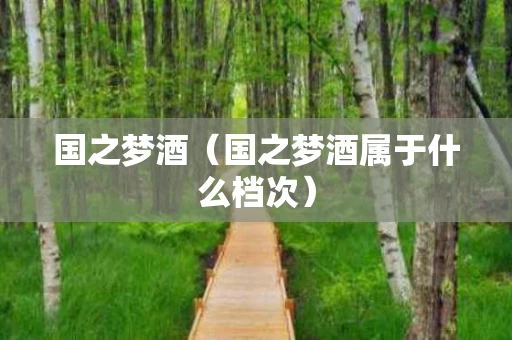 国之梦酒（国之梦酒属于什么档次）