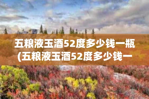 五粮液玉酒52度多少钱一瓶(五粮液玉酒52度多少钱一瓶的)