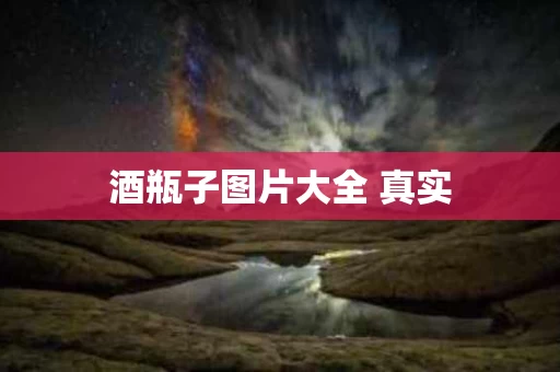 酒瓶子图片大全 真实