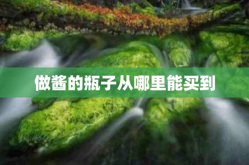 做酱的瓶子从哪里能买到