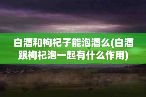 白酒和枸杞子能泡酒么(白酒跟枸杞泡一起有什么作用)