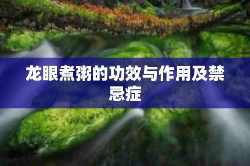 龙眼煮粥的功效与作用及禁忌症