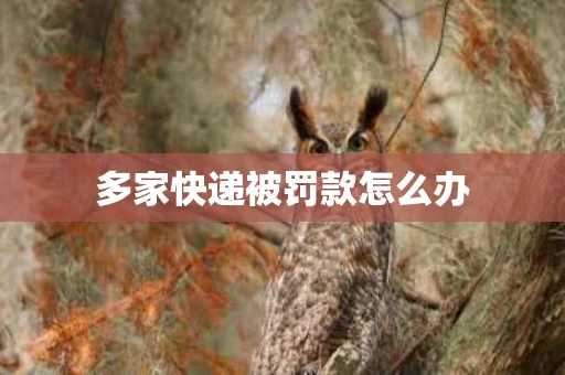 多家快递被罚款怎么办