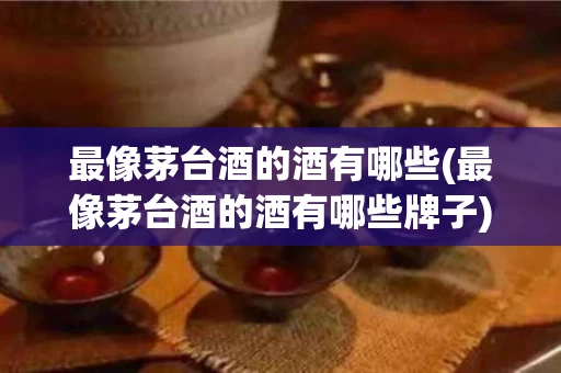 最像茅台酒的酒有哪些(最像茅台酒的酒有哪些牌子)