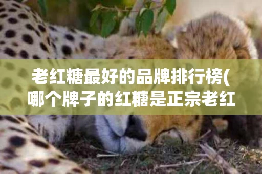 老红糖最好的品牌排行榜(哪个牌子的红糖是正宗老红糖)