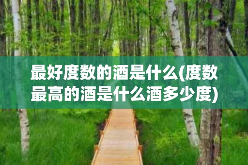 最好度数的酒是什么(度数最高的酒是什么酒多少度)