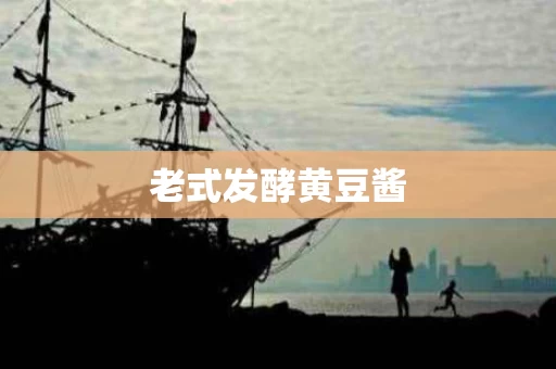 老式发酵黄豆酱