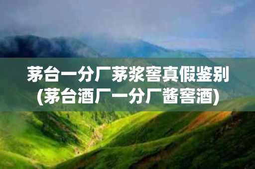 茅台一分厂茅浆窖真假鉴别(茅台酒厂一分厂酱窖酒)