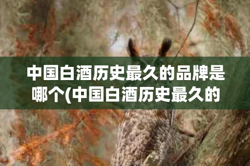 中国白酒历史最久的品牌是哪个(中国白酒历史最久的品牌是哪个名字) 中国白酒历史最久的品牌是哪个(中国白酒历史最久的品牌是哪个名字)